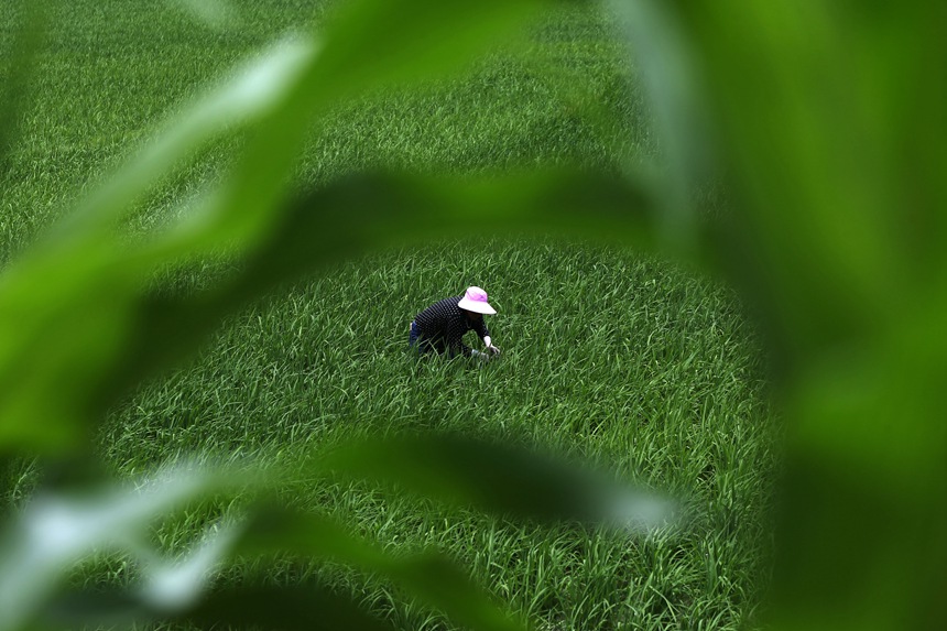 621ؑcǭ^(q)R(zhn)ɼڵ޶z