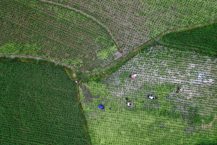 621ؑcǭ^(q)R(zhn)ɼڵ޶z