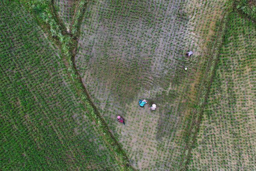 621ؑcǭ^(q)R(zhn)ɼڵ޶z