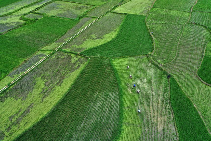 621գؑcǭ^(q)R(zhn)ɼڵ޶z