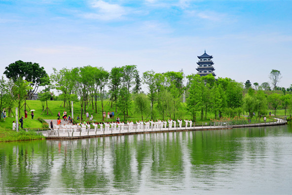 市民在三合湖濕地公園表演太極功夫。向曉秋攝