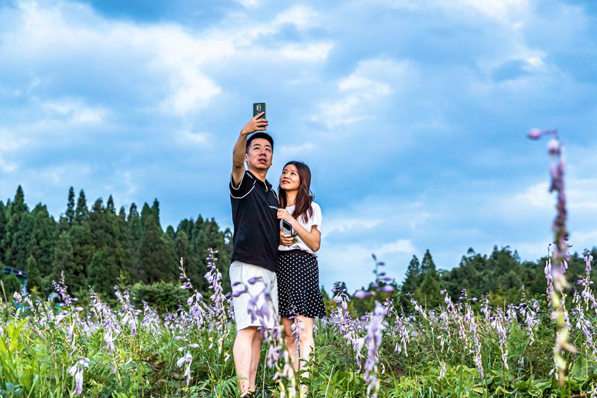 游客在南川山王坪感受涼爽夏日。瞿明斌攝