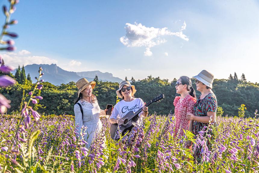 游客在南川山王坪感受涼爽夏日。瞿明斌攝