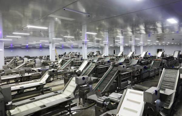 凈菜加工廠設(shè)備安裝完成。彭水縣委網(wǎng)信辦供圖