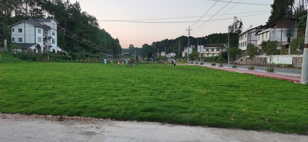 整治后。石龍鎮(zhèn)供圖