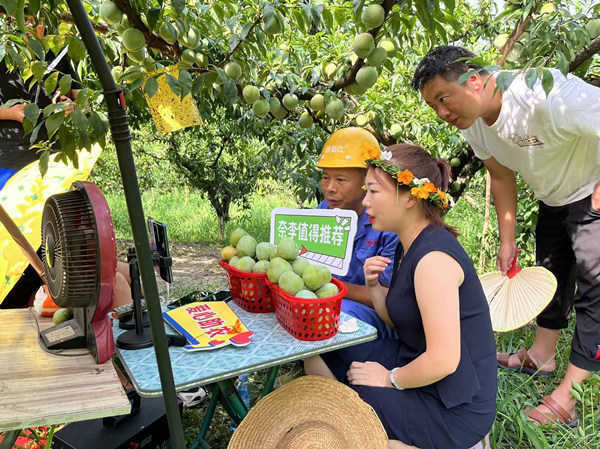 “鋼筋工”陶正強(qiáng)網(wǎng)絡(luò)帶貨助農(nóng)銷售。蔣海濤攝