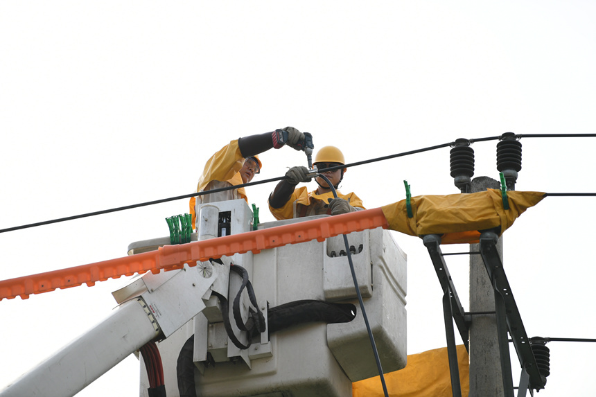 電力公司工作人員在巴南區(qū)界石鎮(zhèn)虎嘯村開(kāi)展帶電作業(yè)。潘洪攝
