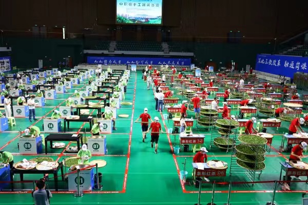 比賽現(xiàn)場(chǎng)。劉燦攝