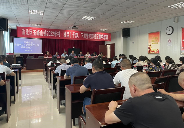 培訓現(xiàn)場。玉峰山鎮(zhèn)供圖