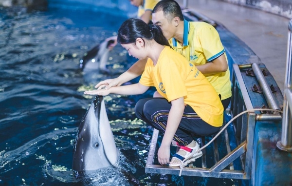 夏令營活動現(xiàn)場。共青團巴南區(qū)委供圖