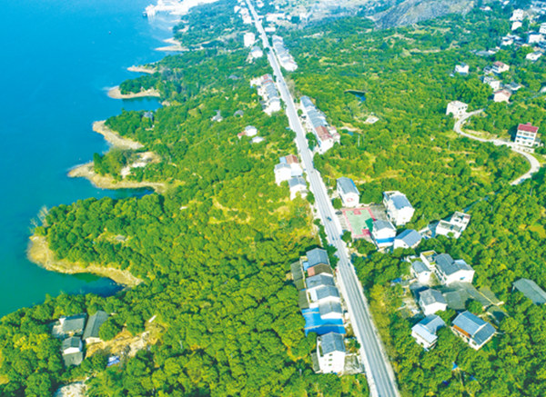 豐都長(zhǎng)江南岸龍眼經(jīng)濟(jì)帶。豐都縣委宣傳部供圖