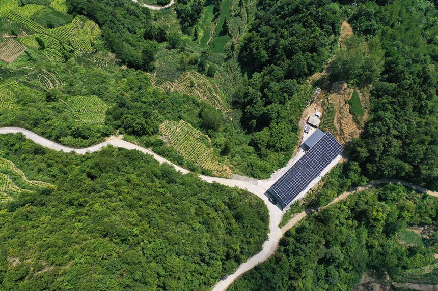 鵝池社區(qū)光伏養(yǎng)蠶大棚。楊敏攝