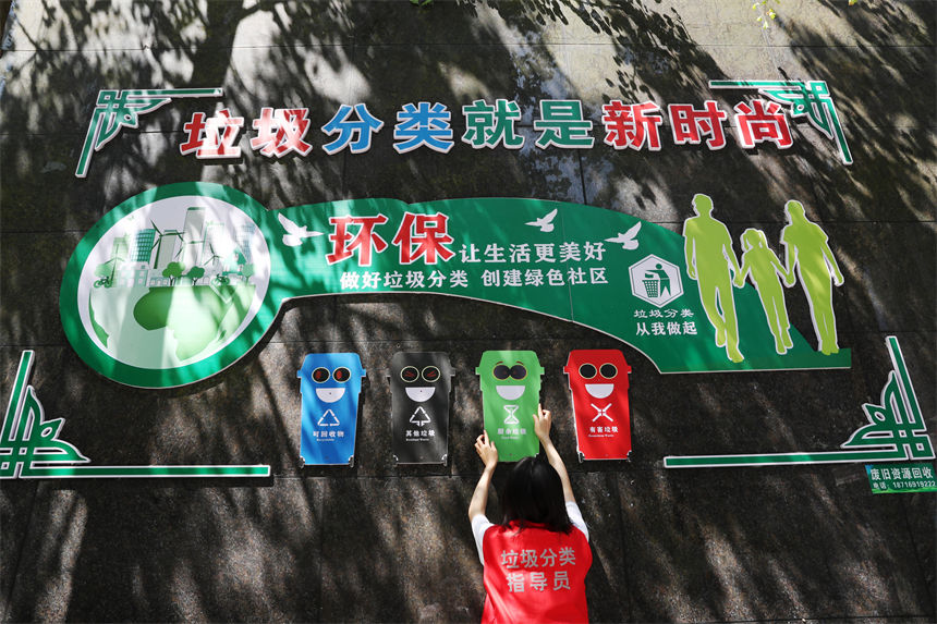 在當?shù)厍堦栮P國際小區(qū)垃圾分類集中收集亭，垃圾分類宣傳員在整理垃圾分類廣告牌。楊敏攝