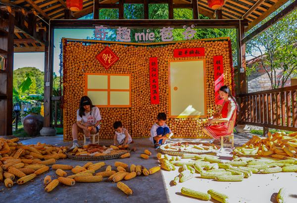 游客參與剝玉米活動。熊偉 攝