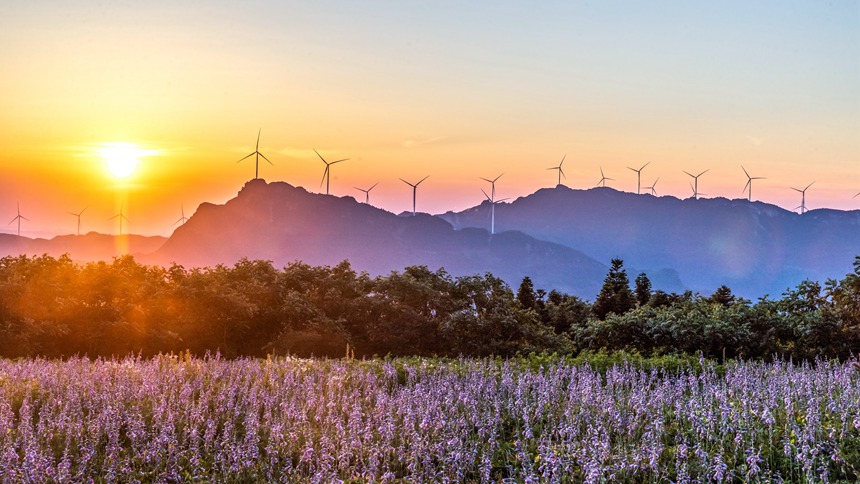 風(fēng)力發(fā)電車迎風(fēng)轉(zhuǎn)動。瞿明斌攝