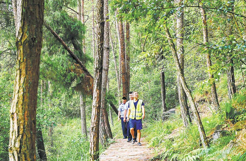 8月16日，在酉陽桃花源國家森林公園，護(hù)林員在巡山護(hù)林，嚴(yán)防森林火災(zāi)。通訊員 邱洪斌 攝/視覺重慶