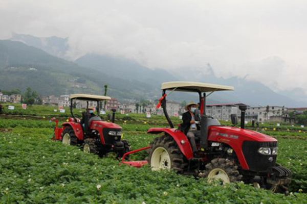 巫溪馬鈴薯良種繁育示范基地機(jī)械化作業(yè)現(xiàn)場(chǎng)。資料圖片