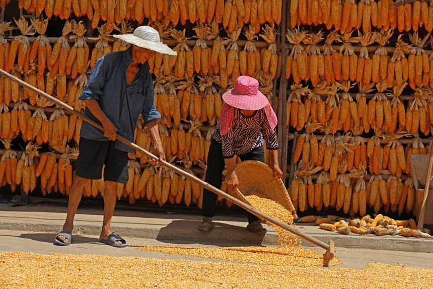 村民正在晾曬糧食。趙勇攝