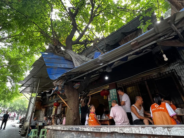 黃桷樹下老茶館。 邢家橋社區(qū)社工室供圖