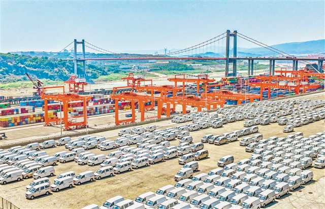 9月5日，眾多嶄新的商品車停放在果園港集裝箱碼頭。今年前8個(gè)月，11萬輛商品車通過果園港經(jīng)長(zhǎng)江黃金水道運(yùn)輸至華中、華東地區(qū)。