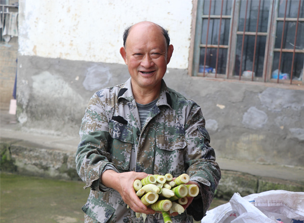 農(nóng)戶喜獲刺黑竹筍豐收，笑逐顏開。國防攝