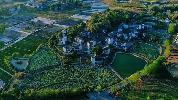 鄉(xiāng)村美景。璧山區(qū)委宣傳部供圖