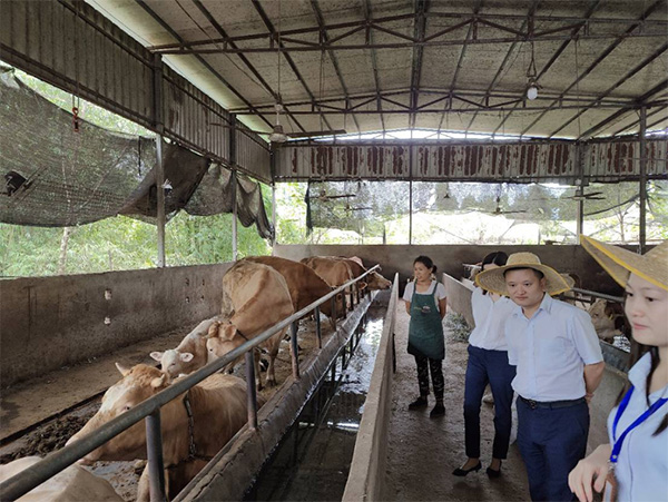 送金融服務(wù)到家。民生銀行重慶分行供圖