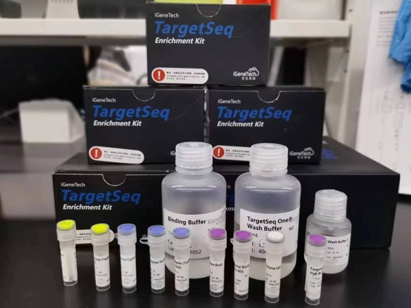 西南大學(xué)研發(fā)出全球首張油菜液相育種芯片。西南大學(xué)供圖