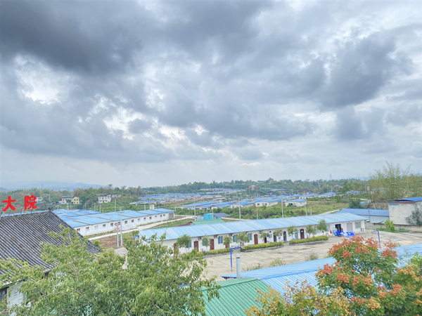 重慶日泉農(nóng)牧公司的豬場(chǎng)。許林佩攝