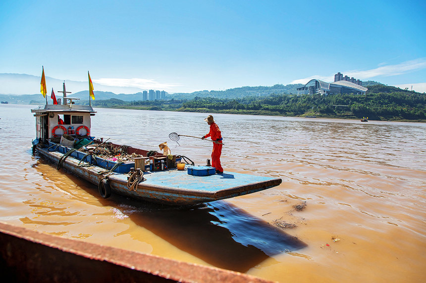 清漂工人在打撈江中漂浮物。余鴻攝