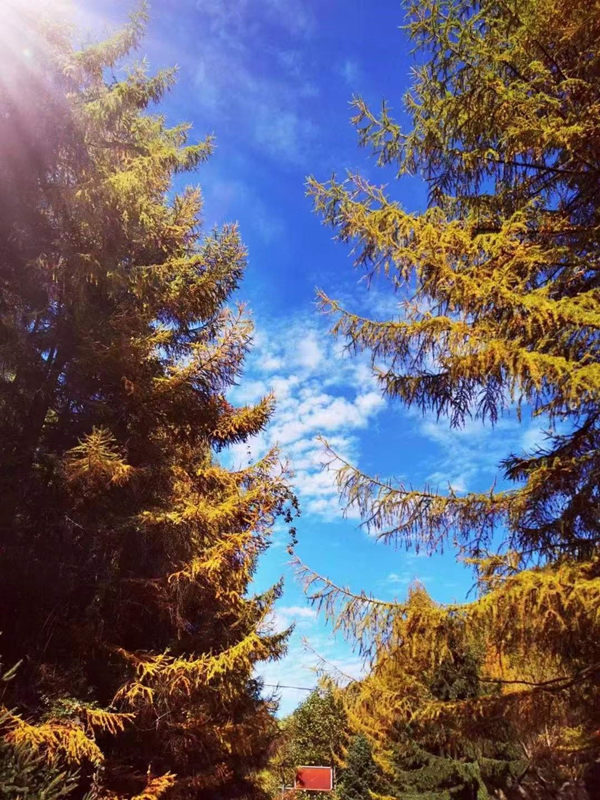 巫山秋色。李政權(quán)攝