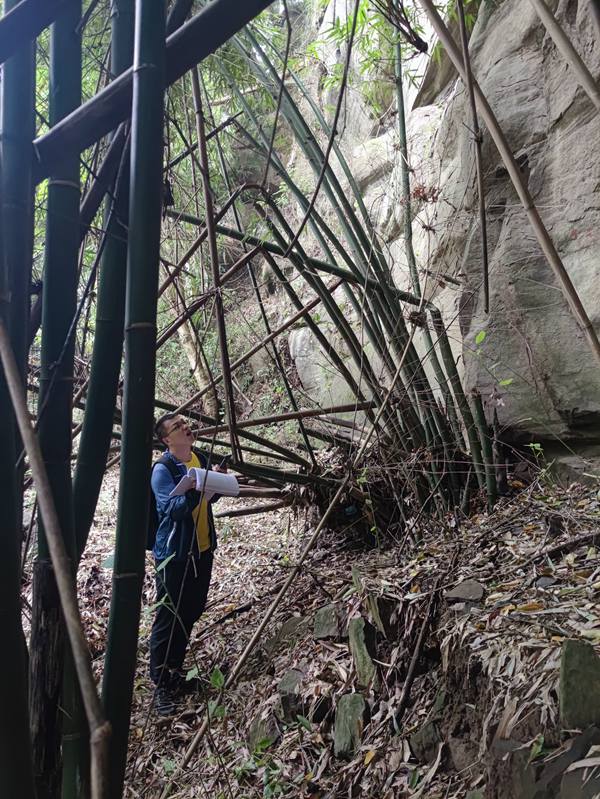 《核查危巖》。9月3日，南江地質(zhì)隊(duì)萬州辦事處技術(shù)負(fù)責(zé)廖學(xué)海來到萬州區(qū)五橋街道核查野貓洞危巖。李華志攝
