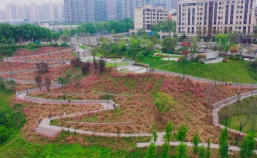 跳墩河公園內的粉黛。兩江新區(qū)供圖