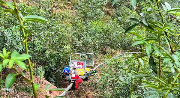 單軌運(yùn)輸車穿行在花椒林間。成蓉攝