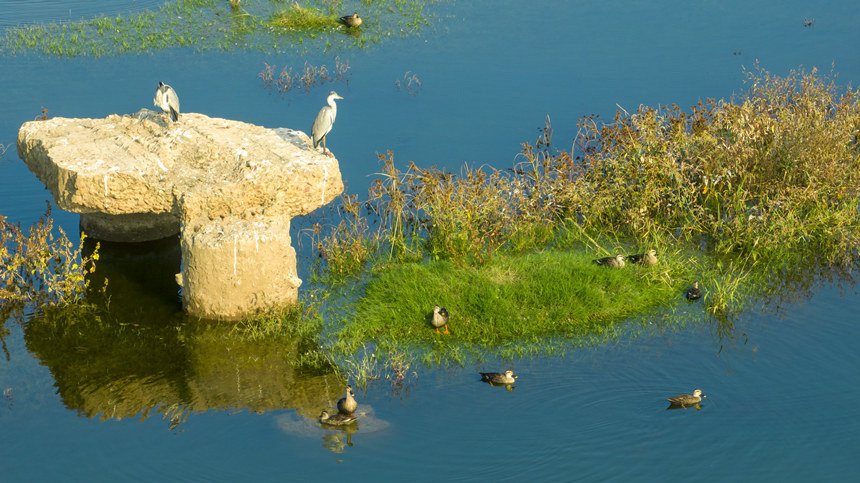 豐都縣打造的消落帶綠色生態(tài)長廊。劉先華攝