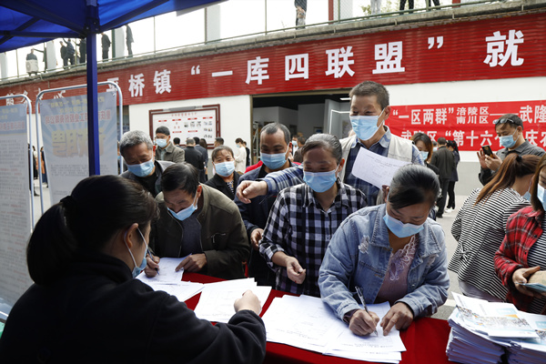 求職者登記信息。代娟攝