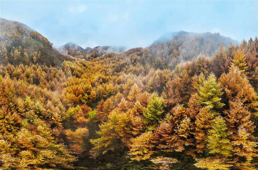 巫山梨子坪秋景。陳光國攝