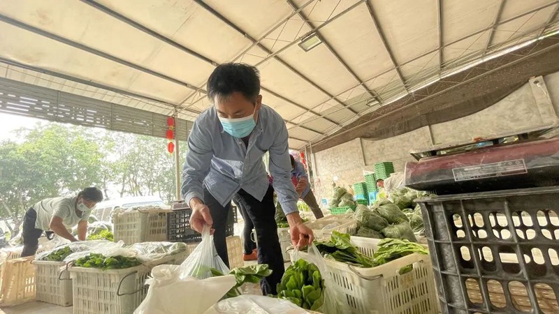 方仕勇在分裝蔬菜。重慶高新區(qū)供圖