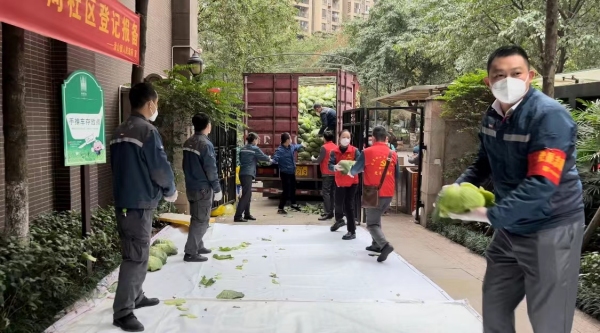 志愿者們有序?qū)坌氖卟朔謷⒋虬?。南岸區(qū)委宣傳部供圖