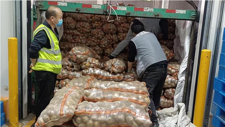 “村村旺”供應(yīng)的土豆正在卸貨。村村旺供圖