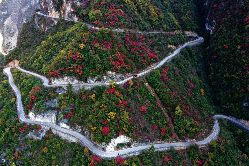 絕壁“天路”兩旁層林盡染，風(fēng)景如畫。王忠虎攝