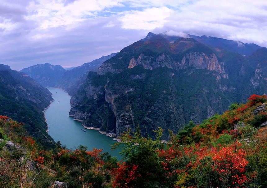 巫山紅葉進入最佳觀賞期。盧先慶攝