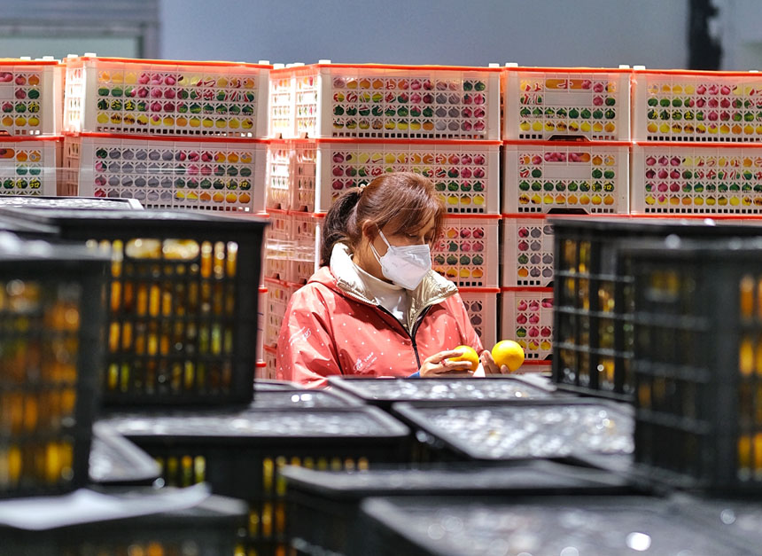 深夜，一生鮮超市內(nèi)，工作人員正在抓緊清點剛到的蔬菜水果。郭旭攝