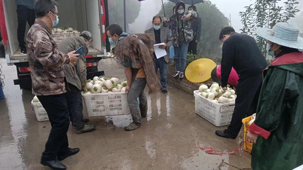助農(nóng)銷售農(nóng)產(chǎn)品。圣燈山鎮(zhèn)供圖