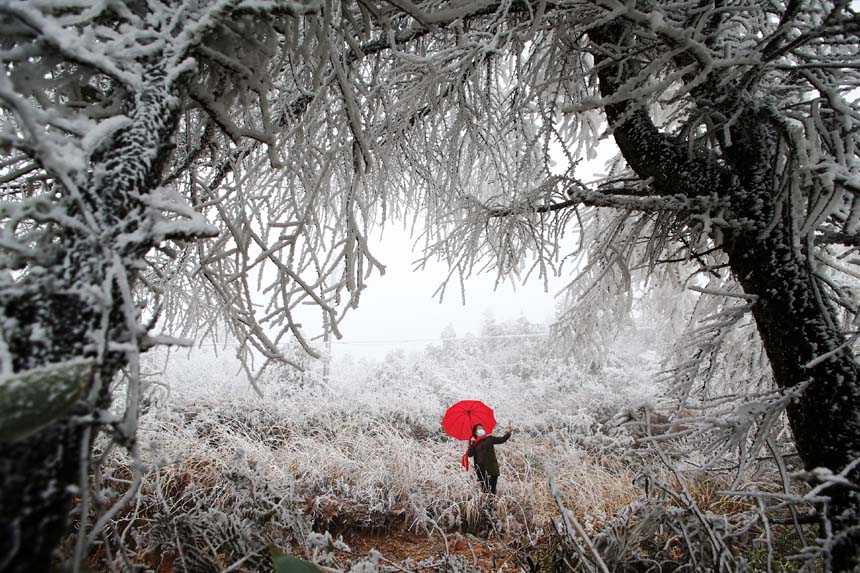 冰晶玉樹宛如仙境的霧凇景觀吸引游人觀賞拍照。楊敏攝