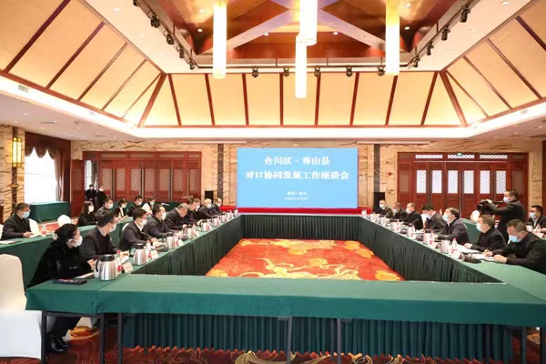 座談會現(xiàn)場。合川區(qū)委宣傳部供圖