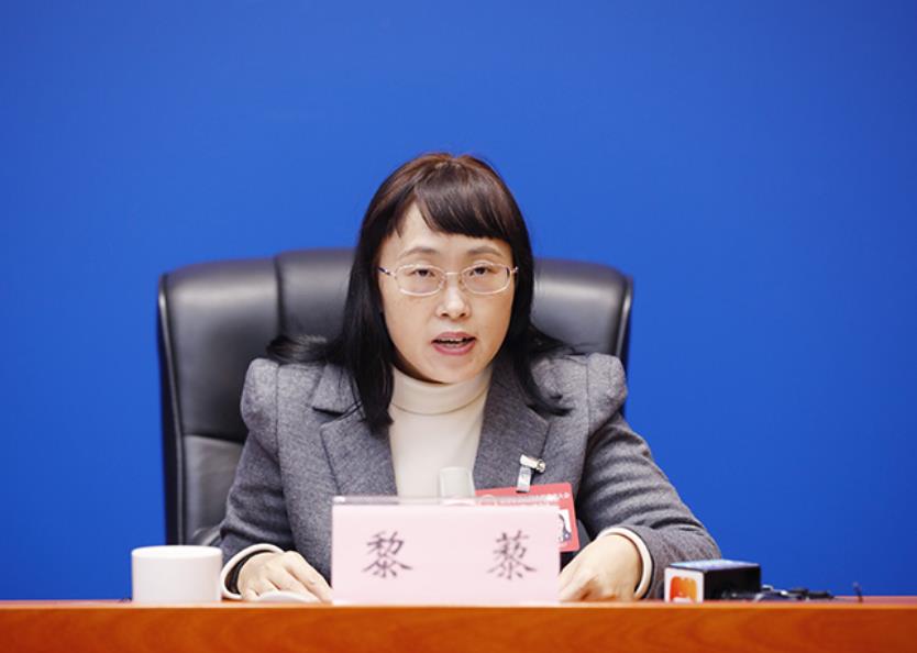 市人大代表、市人大法制委副主任委員黎藜介紹有關(guān)情況。華龍網(wǎng)供圖