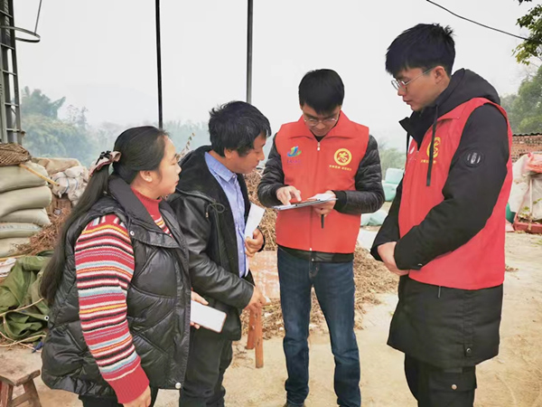 農(nóng)技人員江川與種植大戶鄒景良共同謀劃春耕備耕。代華攝