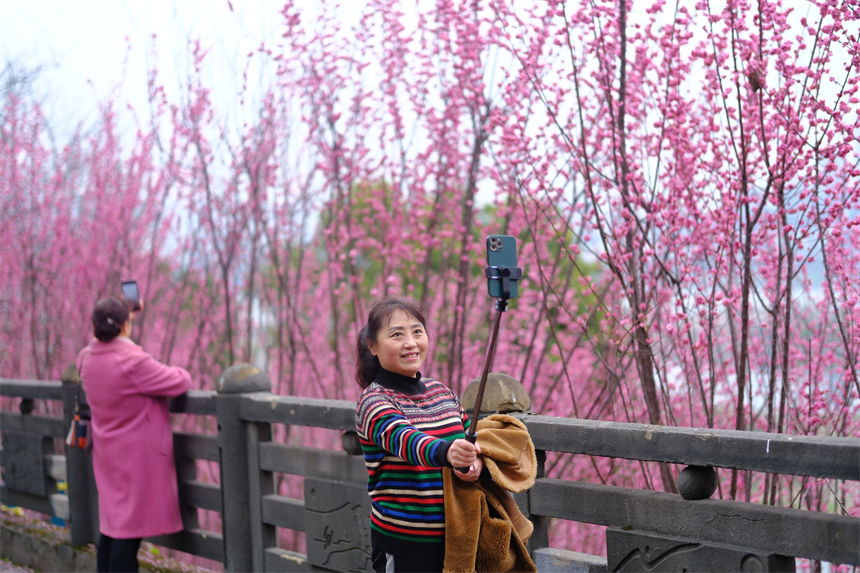 市民打卡留影享受春光。郭旭攝