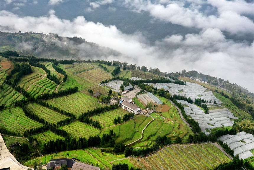 俯瞰重慶萬盛經(jīng)開區(qū)黑山鎮(zhèn)南門村大棚獼猴桃、瓜果基地。曹永龍攝